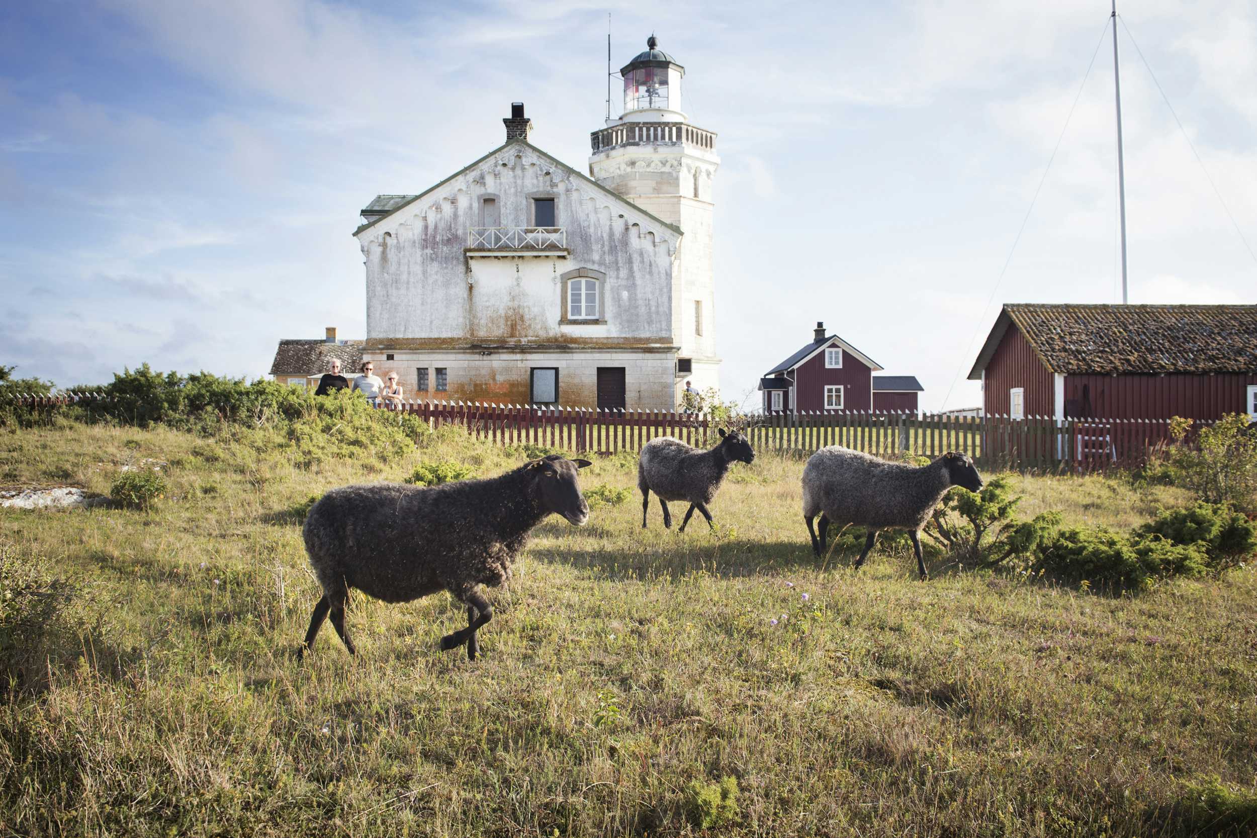 Hitta boende | Gotlands officiella besöksplats