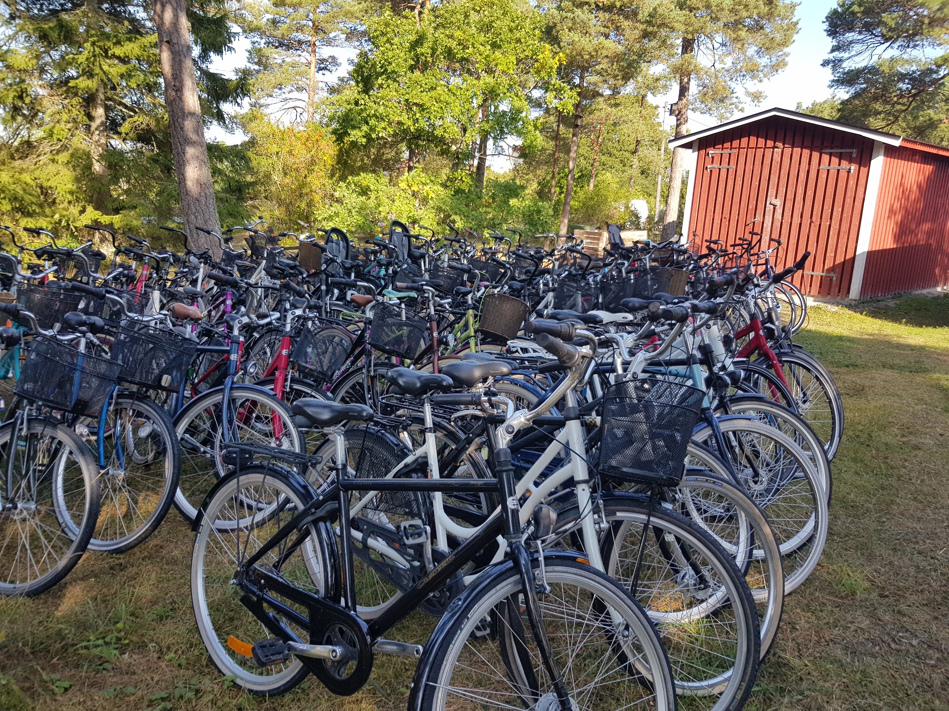 Cykeluthyrning i Gammelgarn - Gotlands officiella besöksplats