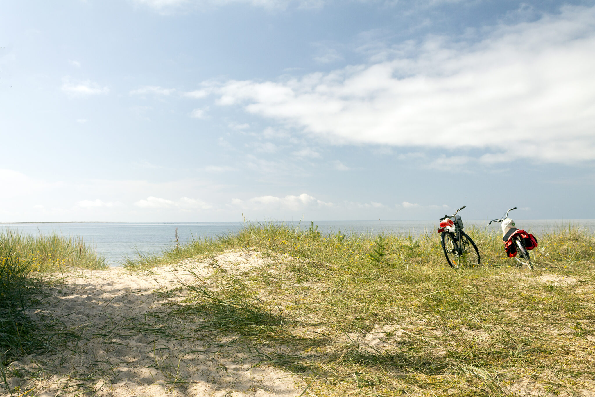 Cykla på Gotland | Gotlands officiella besöksplats