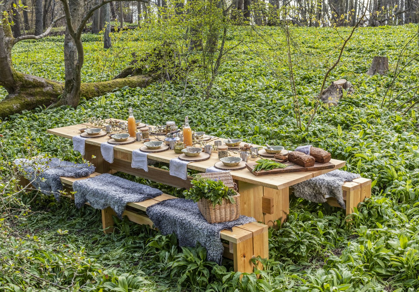 dukat bord i naturen
