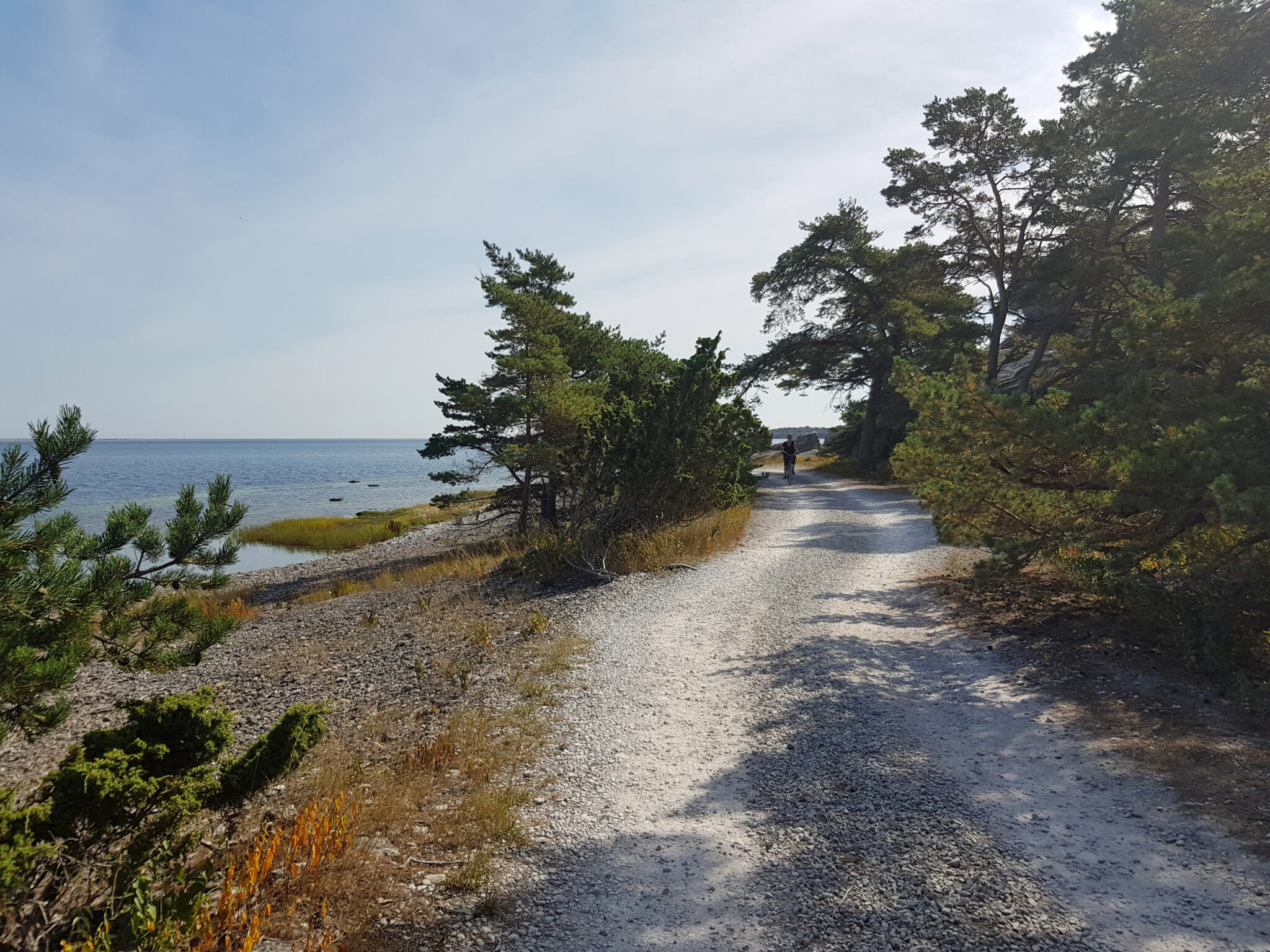 Cykla på östra Gotland | Gotlands officiella besöksplats