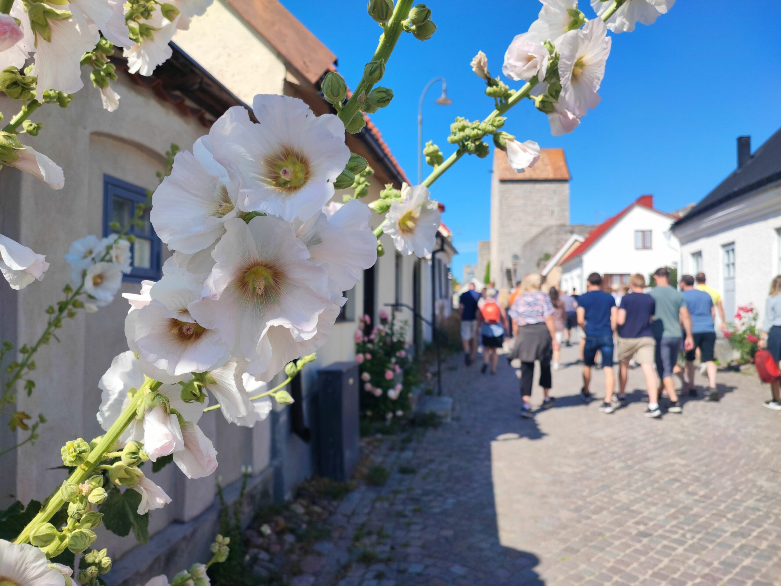 Verksamhetsbild
