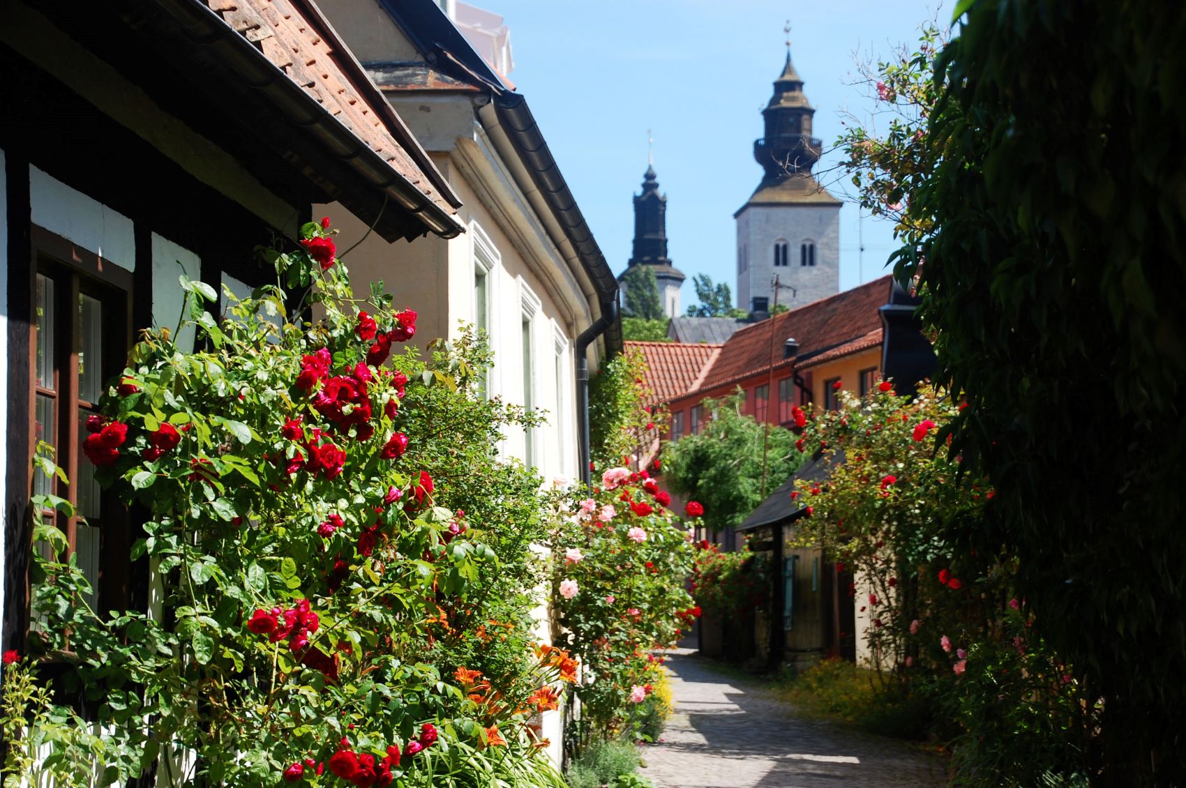 Verksamhetsbild